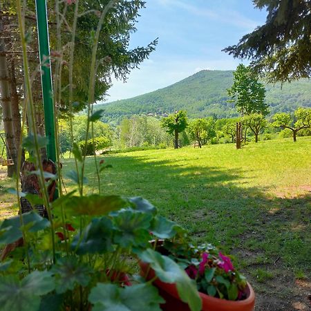 Vila Jezerski Raj Borsko Jezero Екстер'єр фото