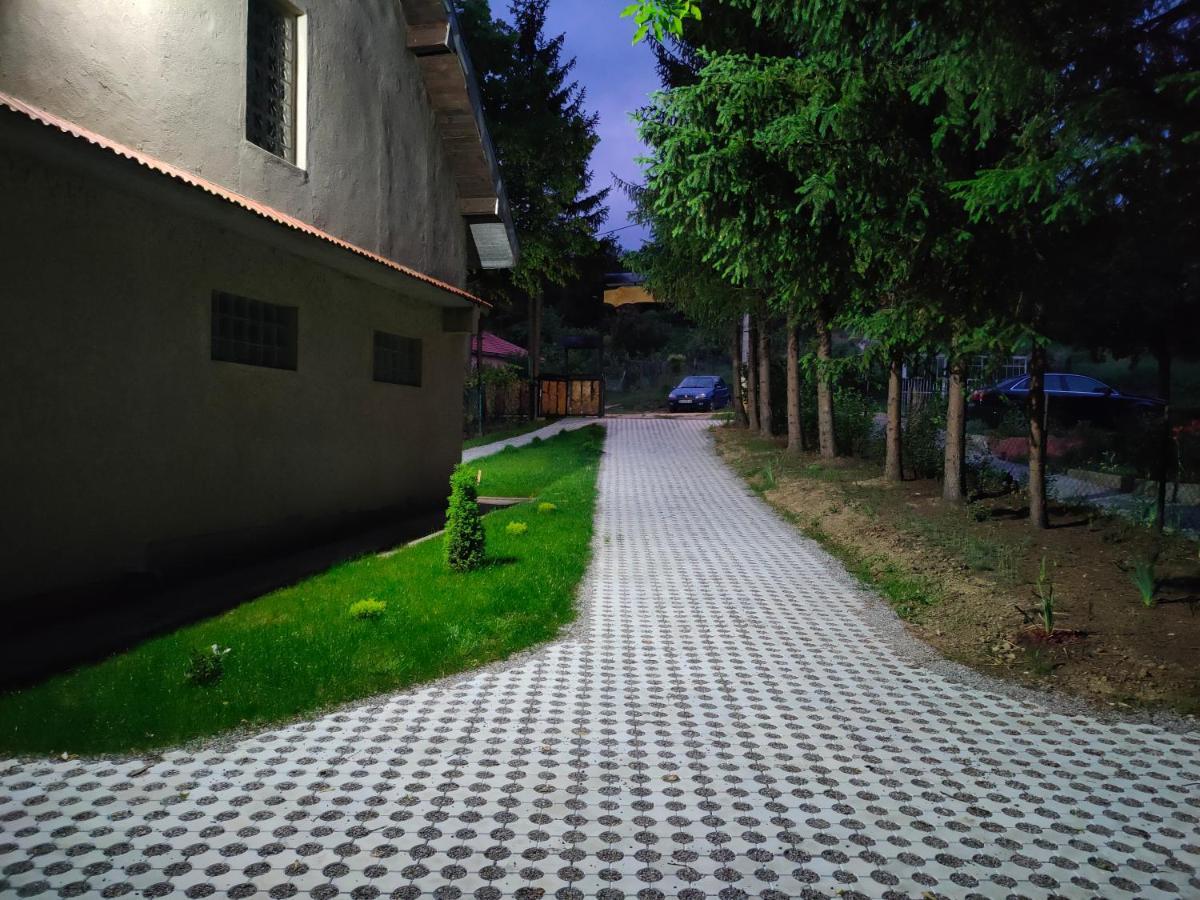 Vila Jezerski Raj Borsko Jezero Екстер'єр фото